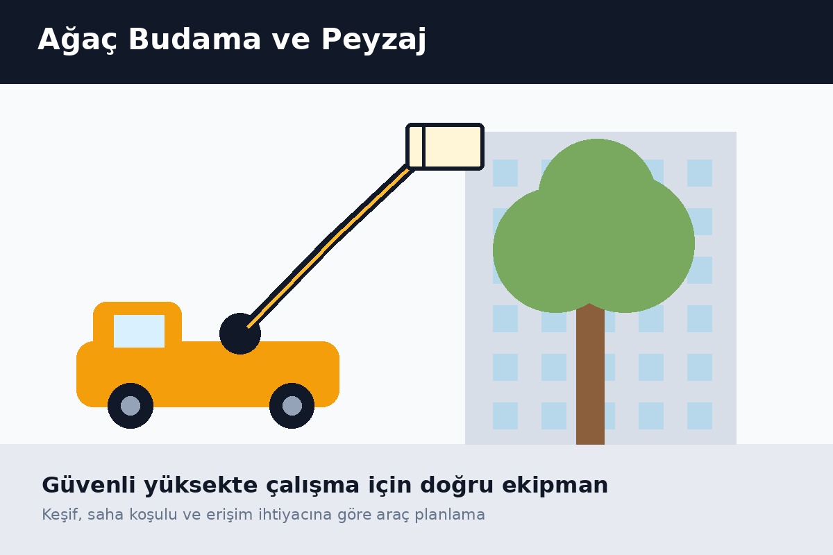 Ağaç Budama ve Peyzaj